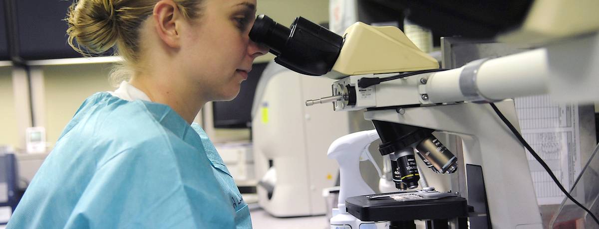 Dental nurse using microscope